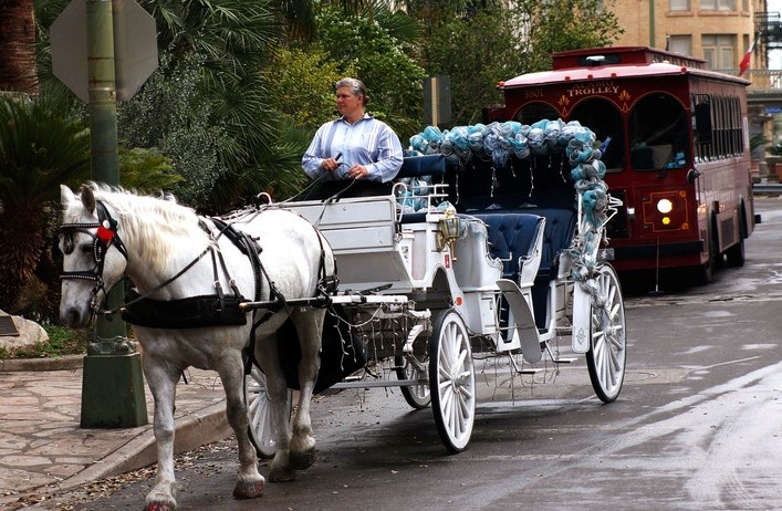 An image of a horse drawn carriage