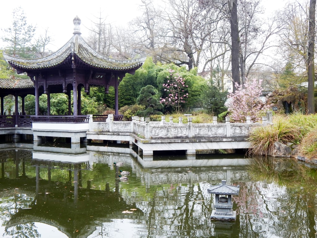 Image of the Chinese Garden