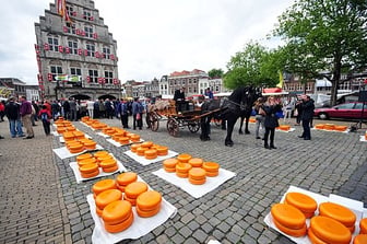 Gouda Cheese Market - Food in the Netherlands