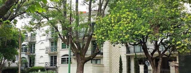 Best things to see & do in Polanco (CDMX's upscale neighborhood)