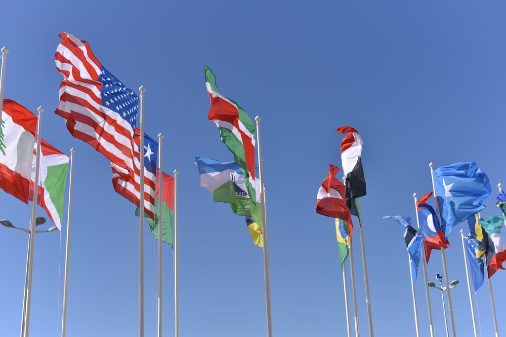 Image of international flags