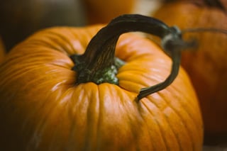 Image of a pumpkin