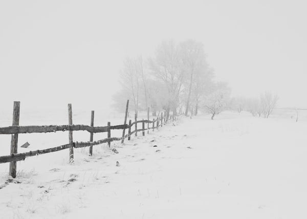 Image of winter farm land