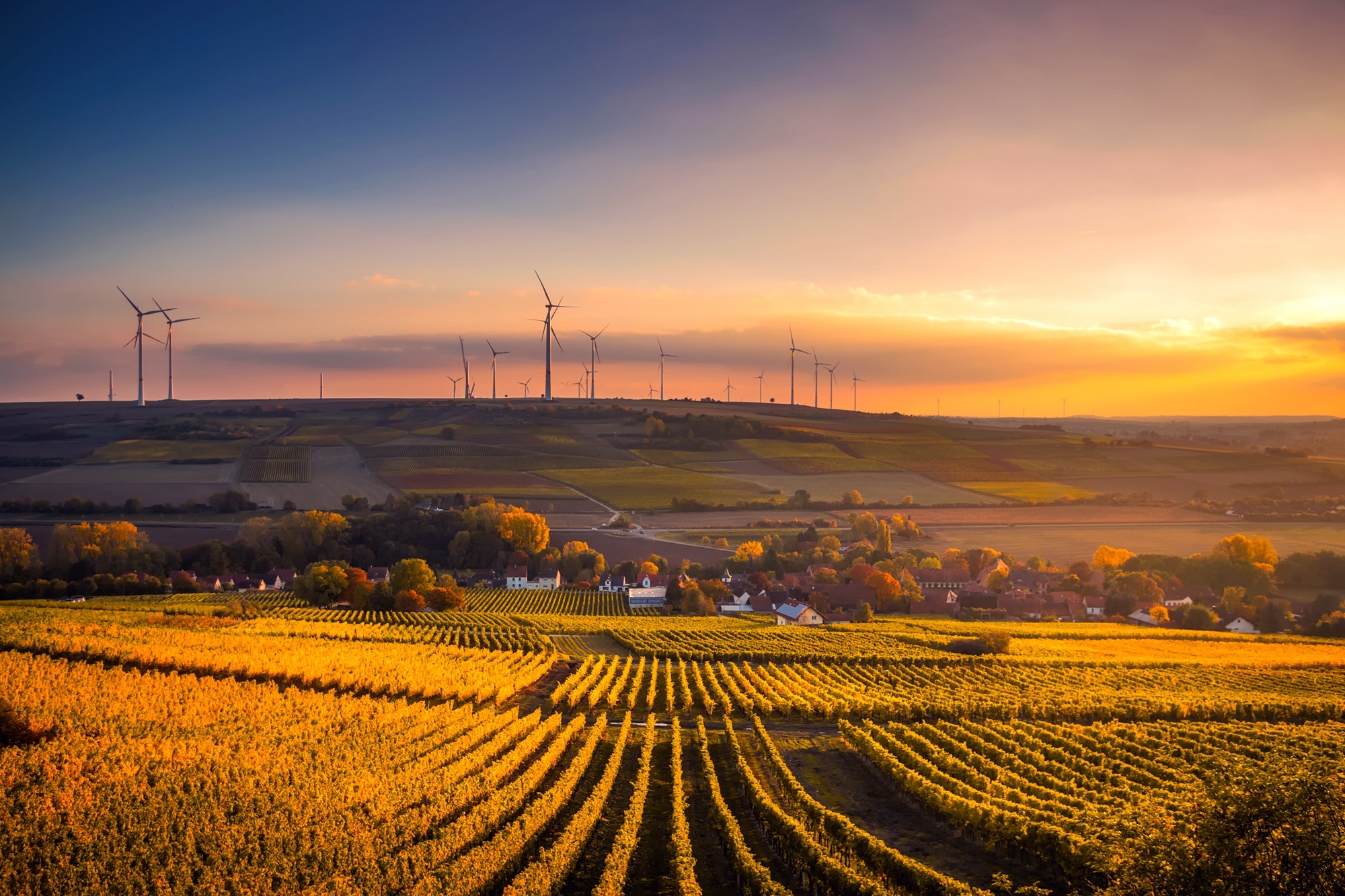 sunset over farmland