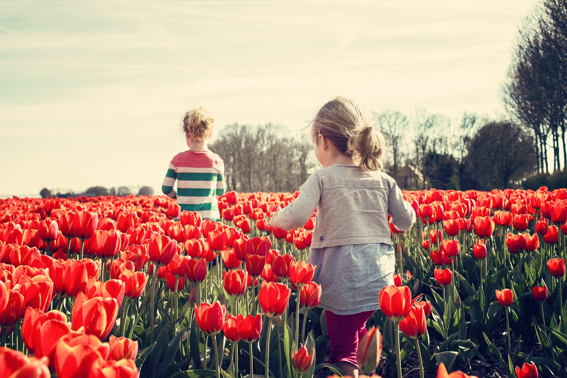 Image of expat children in the Netherlands