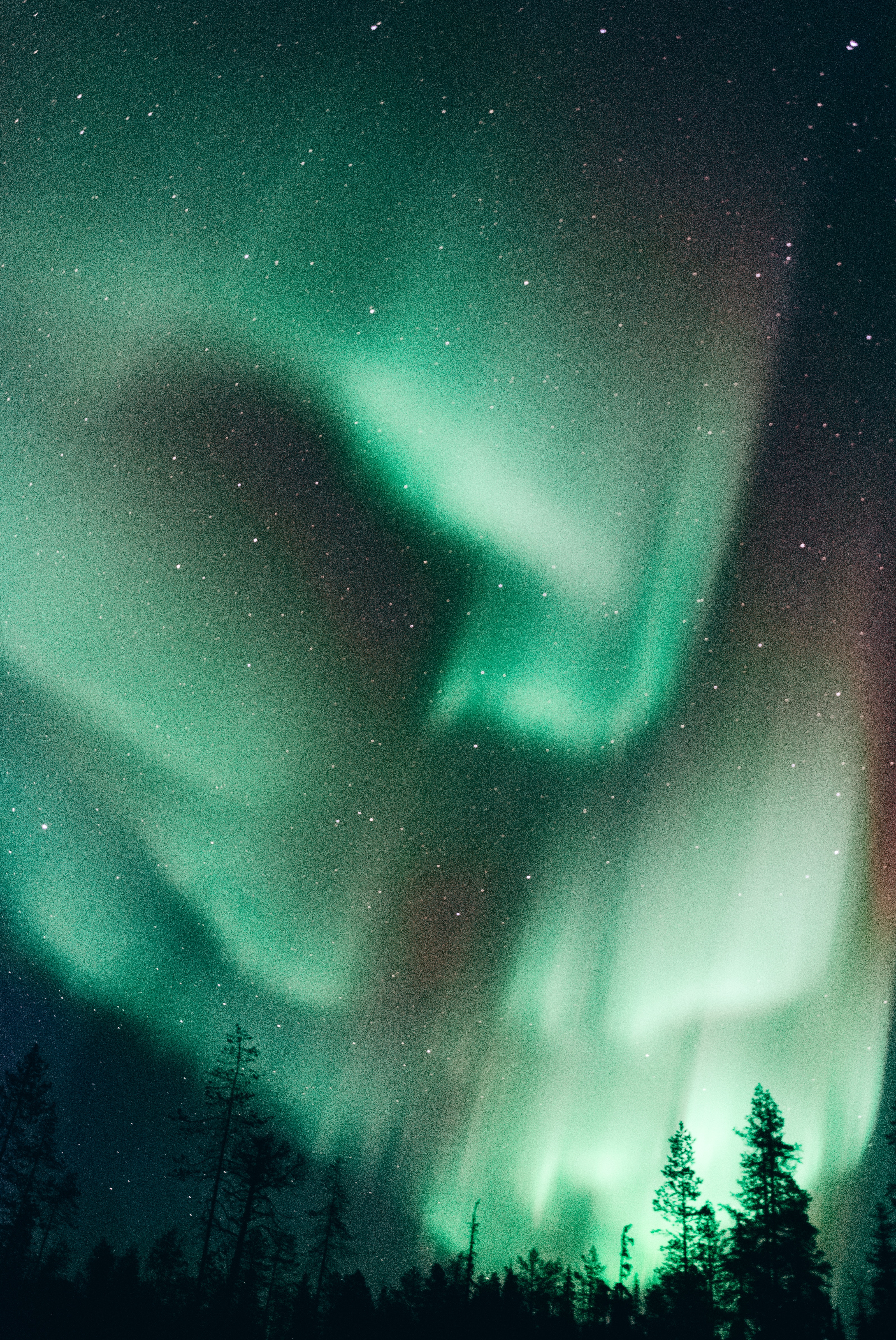 Image of the Northern Lights glowing green in Finland