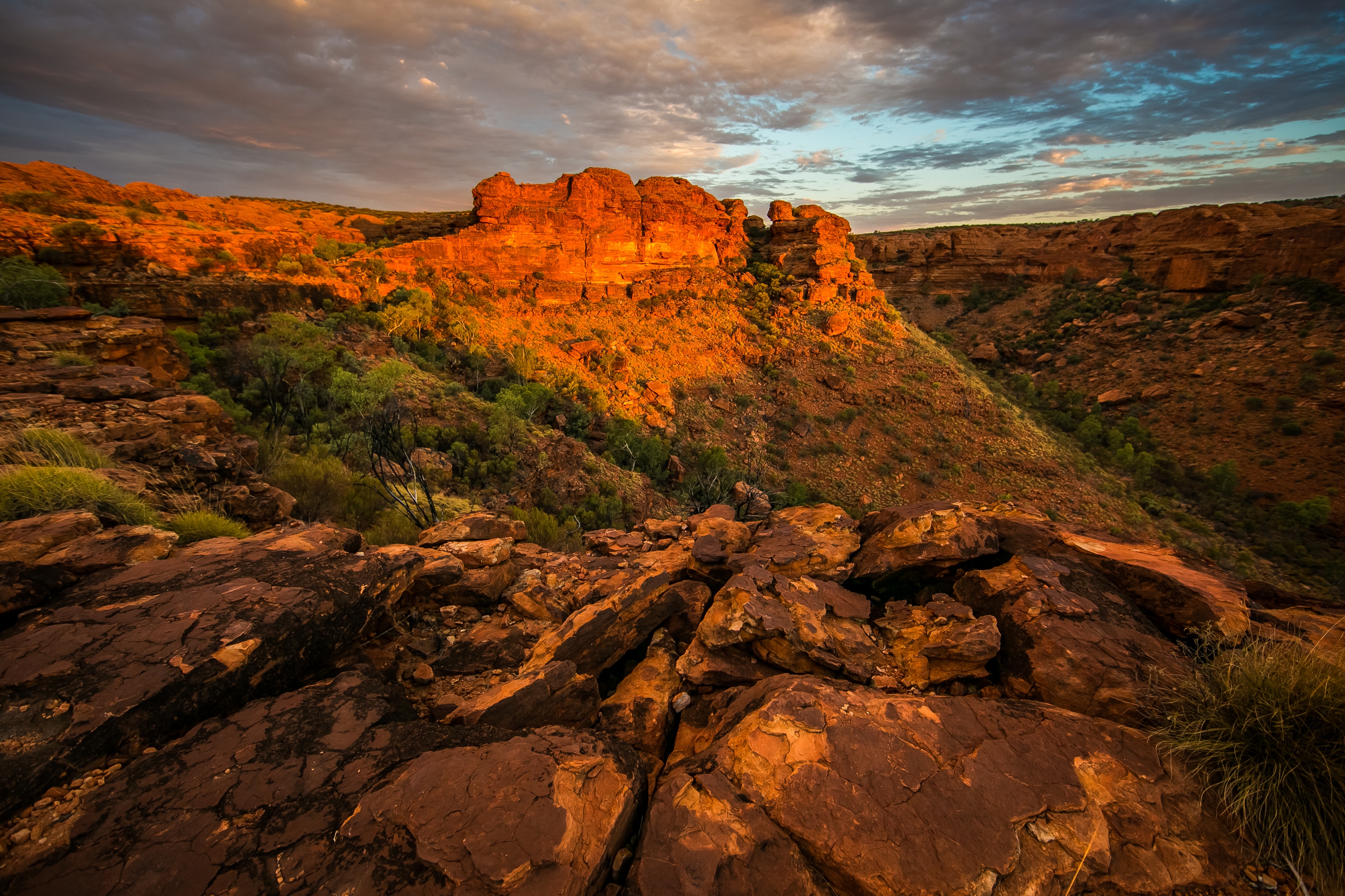 Image of the Australian Outback